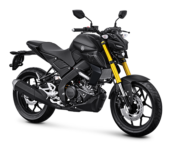 MT 15 2